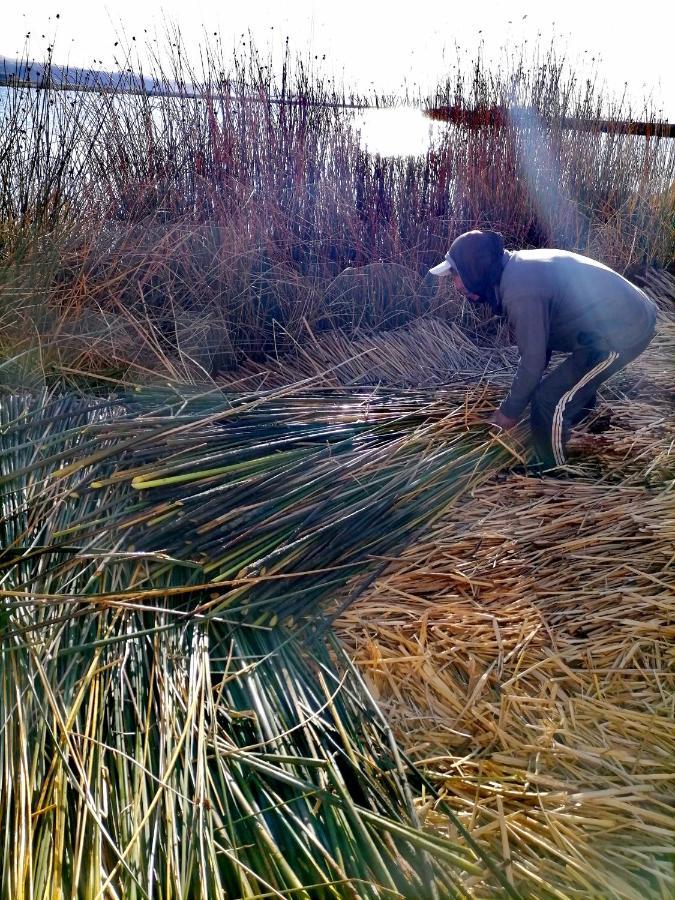 Uros Waliski * Puno